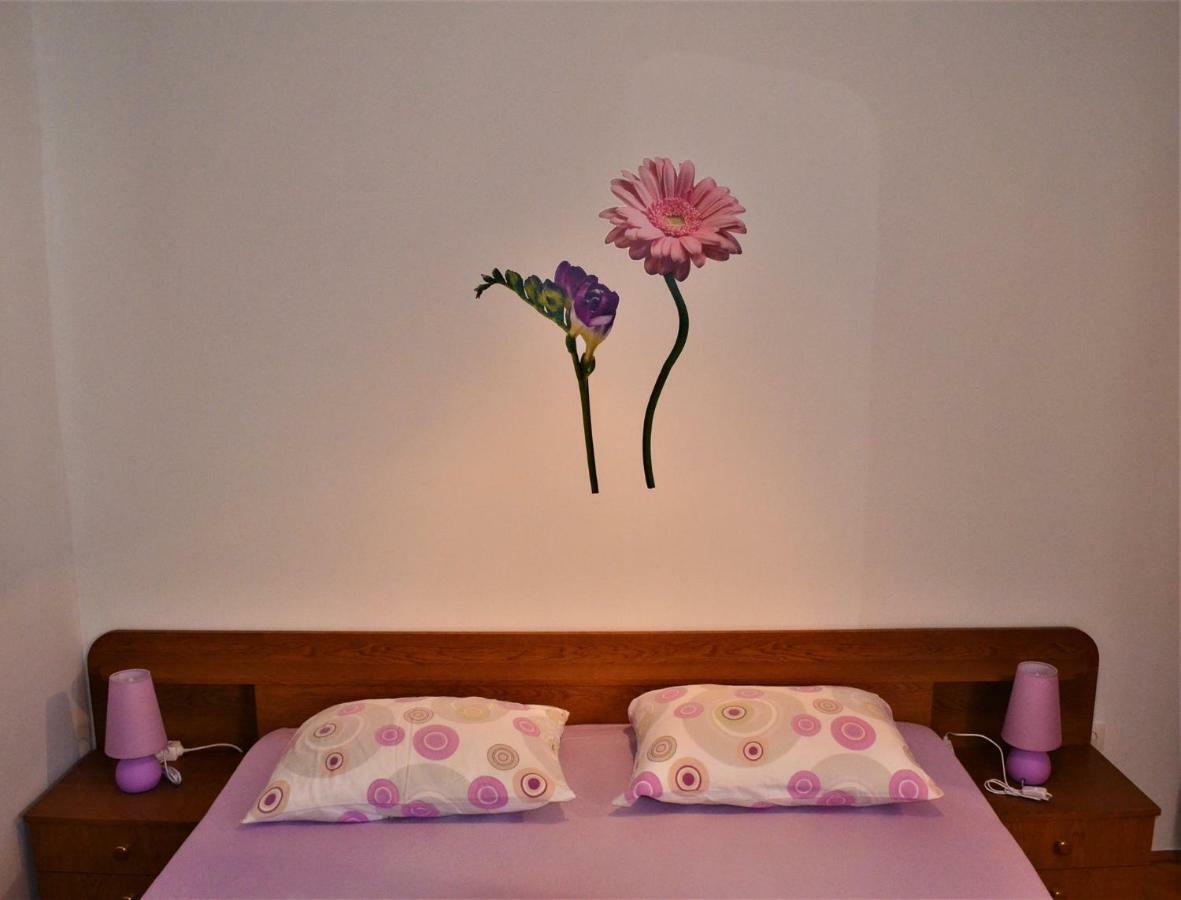 Apartman Rosa Pirovac Buitenkant foto